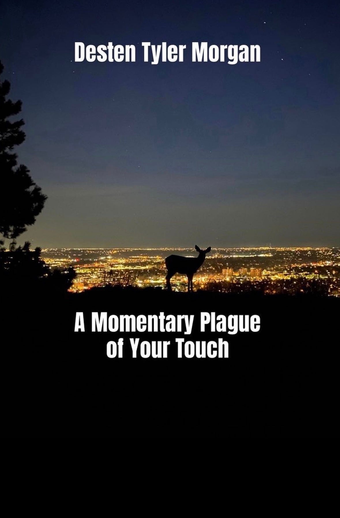 A Momentary Plague of Your Touch